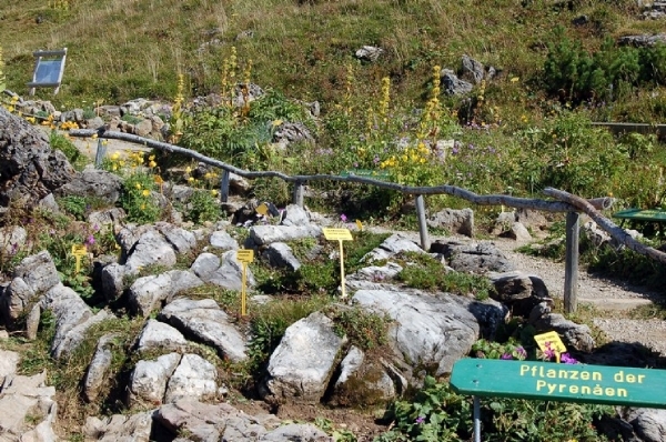I30   Kitzbüheler Horn