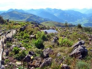 I312  plantentuin -  Kitzbüheler Horn