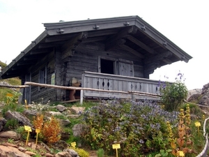 I320  plantentuin -  Kitzbüheler Horn