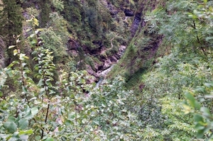 N43  Weisbachschlucht