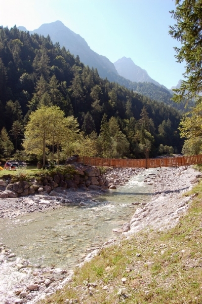 b11  Vorderkäserklamm