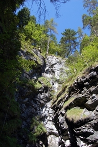 b19  Vorderkäserklamm