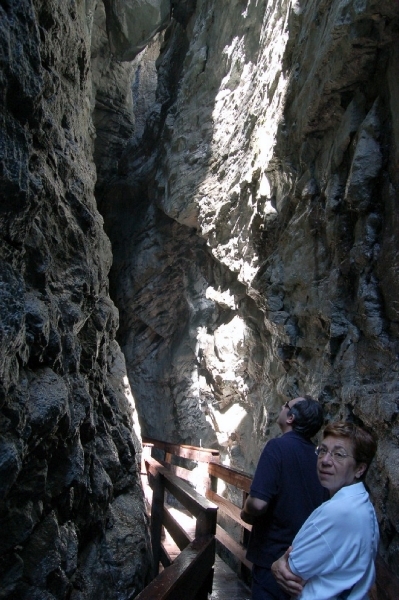 b23  Vorderkäserklamm