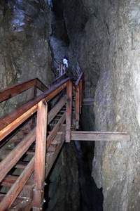 b28  Vorderkäserklamm