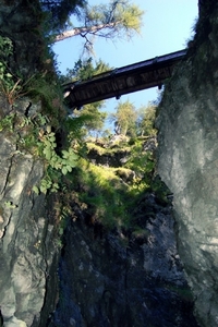 b33  Vorderkäserklamm