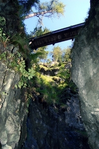 b33  Vorderkäserklamm