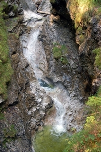 b35  Vorderkäserklamm