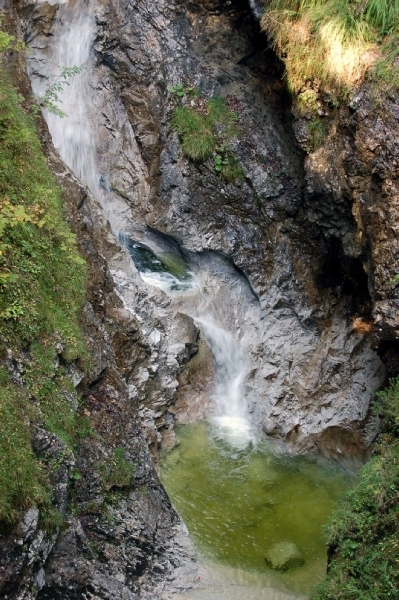 b41  Vorderkäserklamm