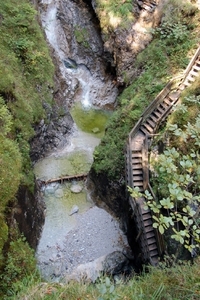 b42  Vorderkäserklamm