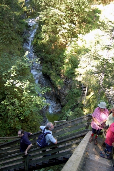 b45  Vorderkäserklamm