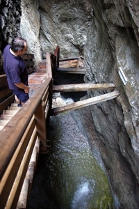 b49  Vorderkäserklamm