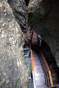 b53  Vorderkäserklamm