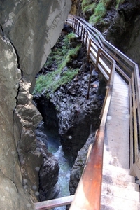 b65  Vorderkäserklamm