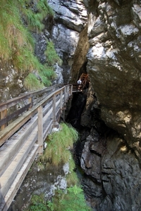 b69  Vorderkäserklamm