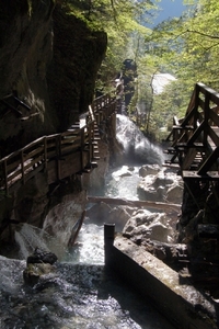 d19   Seisenbergklamm