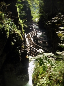 d220   Seisenbergklamm