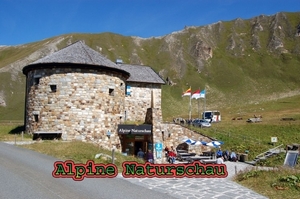 E21  Haus Alpine Natuurschau Grossglockner Hochalpenstrassekopie