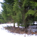 Luxemburg20100218-20 041