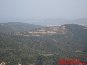 Moren 10_2008-01
