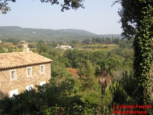 Moren 10_2008-03