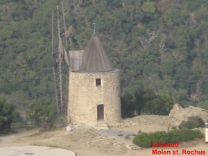 Moren 10_2008-14