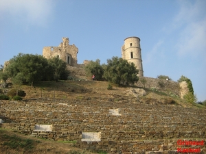 Moren 10_2008-18