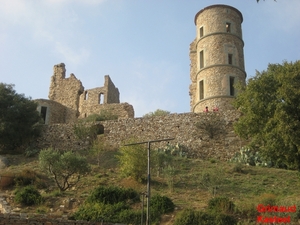 Moren 10_2008-19