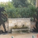 Moren 10_2008-20