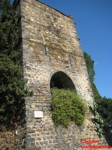 Moren 10_2008-29