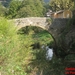 Moren 10_2008-37