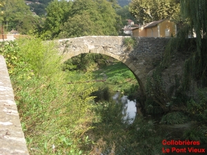 Moren 10_2008-37