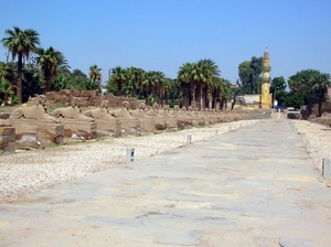 a12  Luxor