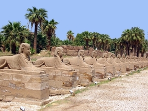 a13  Luxor