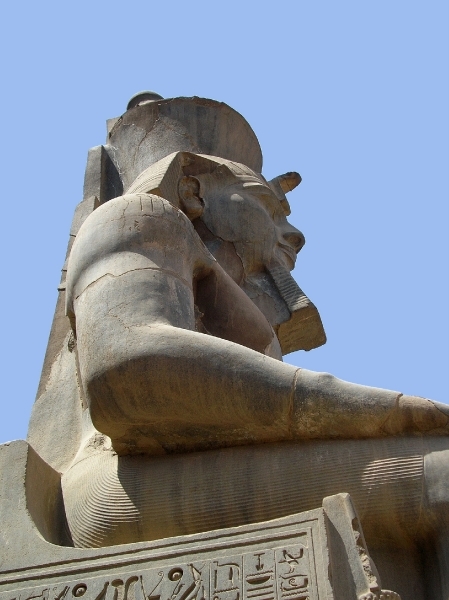 d4 Luxor 74