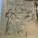 d5 Luxor 73