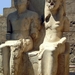 d7Luxor 74