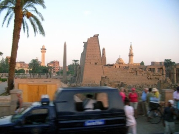 n7 Luxor91