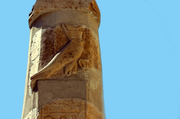 Abdel Quarna 026