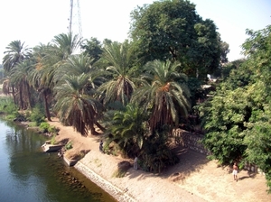 w1  Esna - de wal