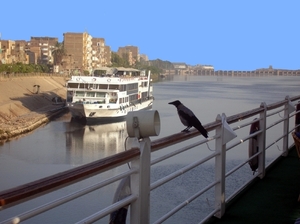 a51  Aswan