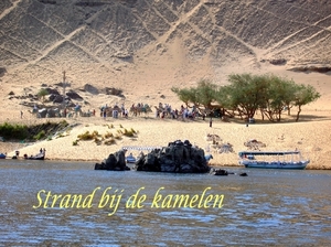 b  kamelenrit