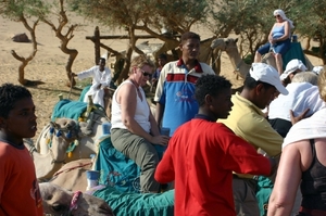 b41 kamelen