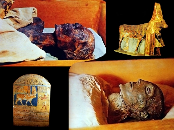 B  Egyptisch museum Mummie Seti 1 -  mummie Ramses - Amenhotep 2 