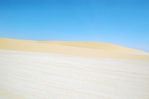 V woestijn010