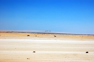 V woestijn059
