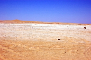 V woestijn063