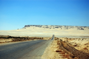 V woestijn068