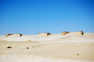 V woestijn081