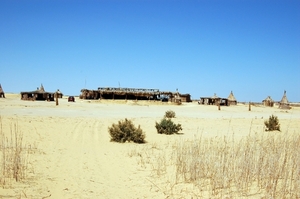 V woestijn138