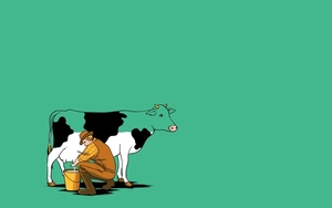 wallpaper-CowMilking